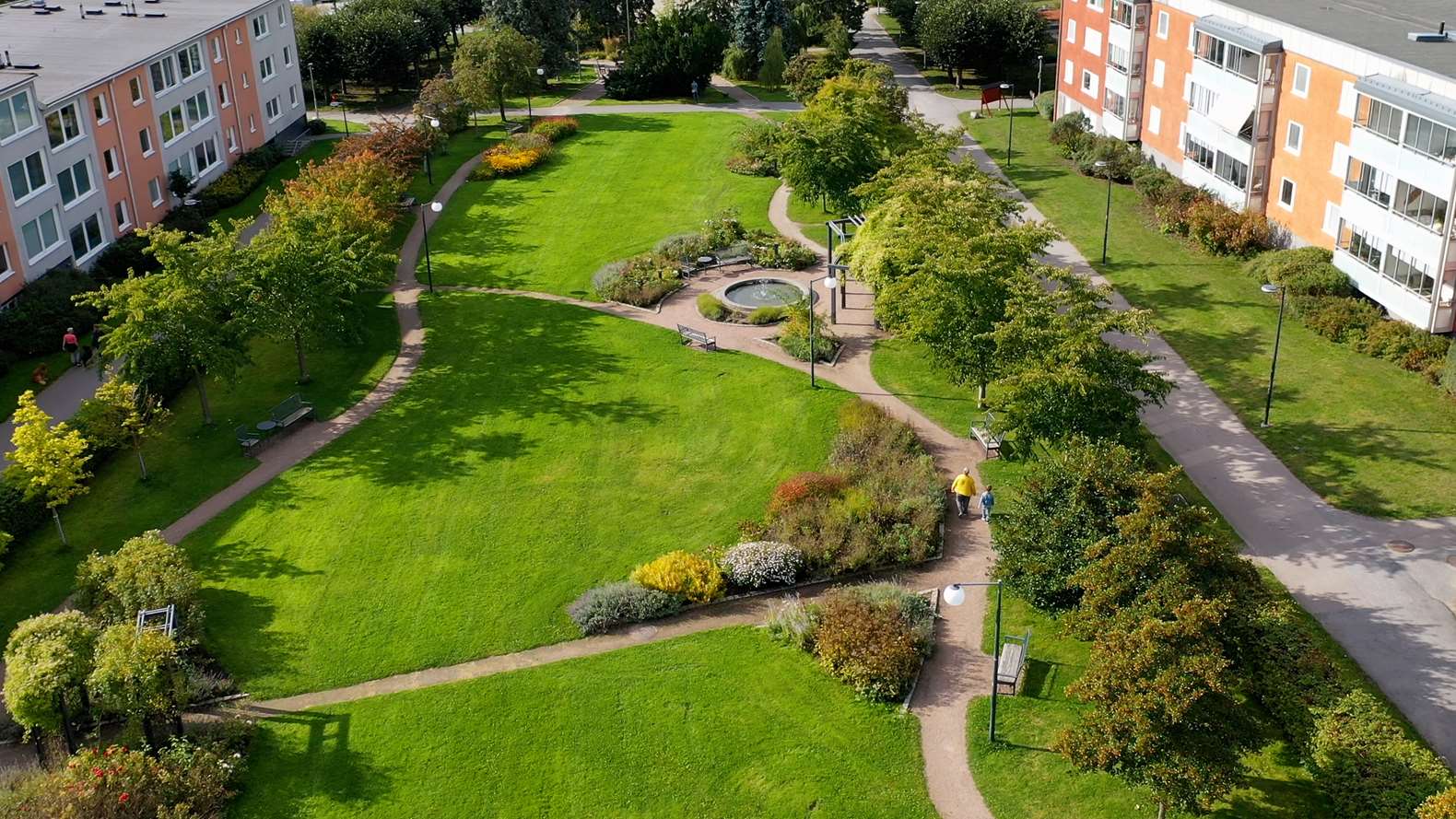 Bild på en park.
