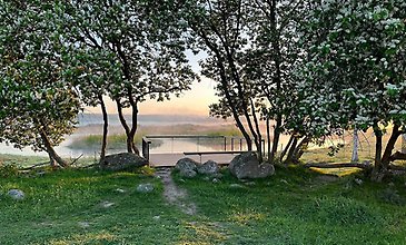 Naturbild från Angarnssjöängen